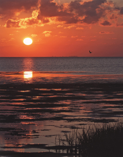 Laguna Madre at low tide